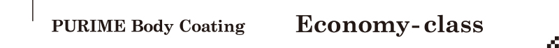 エコノミークラスのコーティング