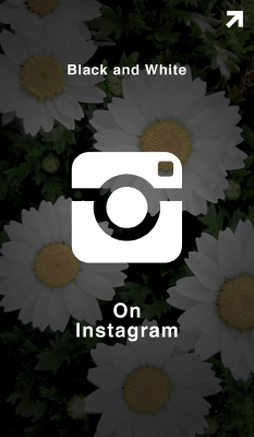 プリメのInstagram